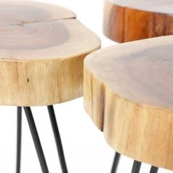 Bijzettafeltje Samantha - Acacia En Zwart Stalen Poten 13 Bijzettafeltje Samantha - Acacia En Zwart Stalen Poten -Emob 2320 15 4 69f8