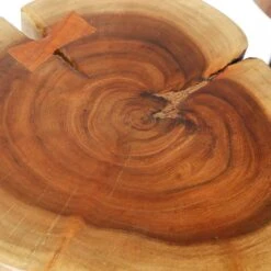 Bijzettafeltje Samantha - Acacia En Zwart Stalen Poten 15 Bijzettafeltje Samantha - Acacia En Zwart Stalen Poten -Emob 2320 15 5 f2dd