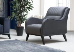 Stijlvolle Wing Chair Met Beukenhouten Frame | Antraciet Kleur