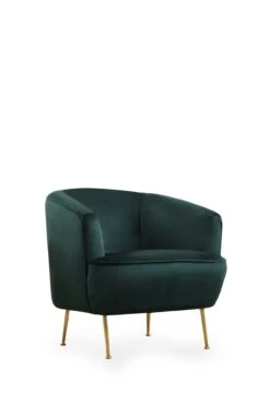 Hilena Wing Chair | Beukenhouten Frame | 100% Polyester Stof | Groen -Emob 859FTN1744 4 fbd6