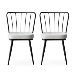 Stijlvolle Stoel Set (2 Stuks) | Comfortabel En Modern | 100% Metalen Frame | Fluwelen Zitting | Zwart